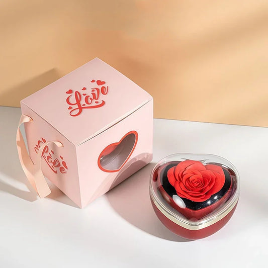 Box Rosa Stabilizzata con Collana Doppio Cuore – Regalo Eterno per Lei